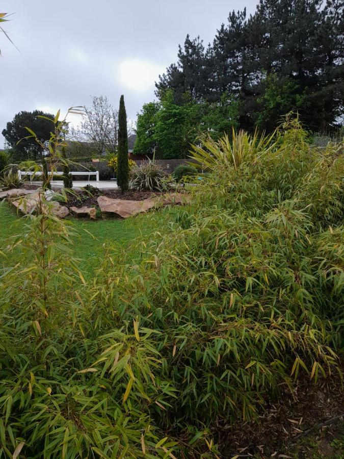 Chambre Dans Un Ecrin De Verdure Angrie Dış mekan fotoğraf