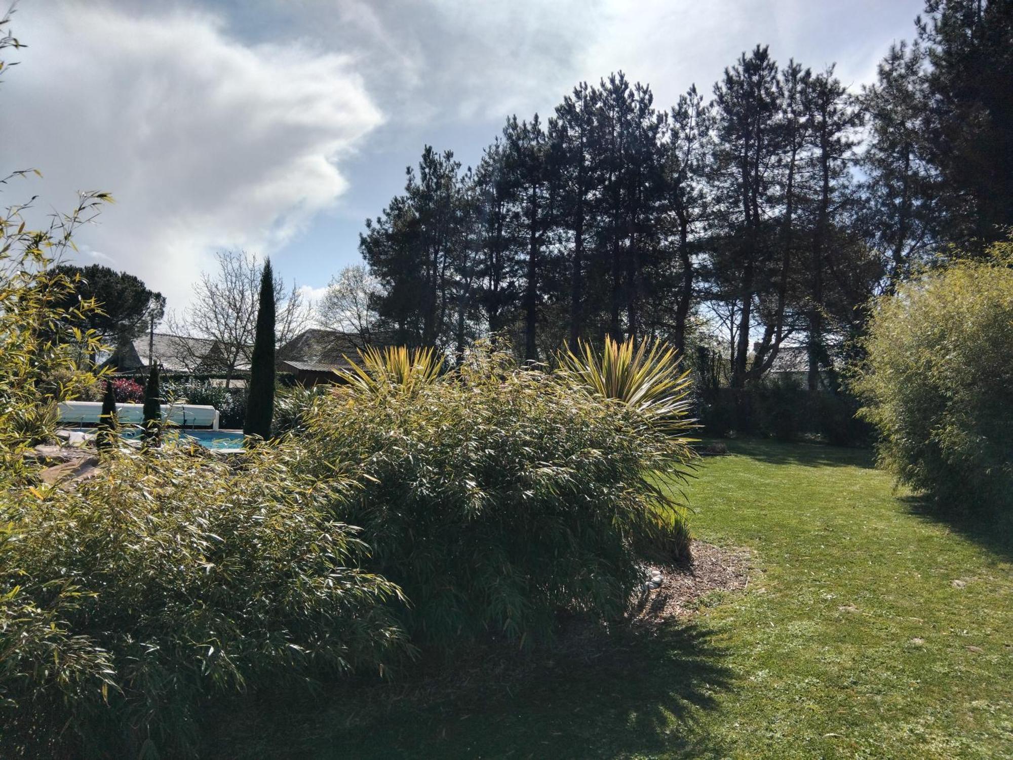 Chambre Dans Un Ecrin De Verdure Angrie Dış mekan fotoğraf