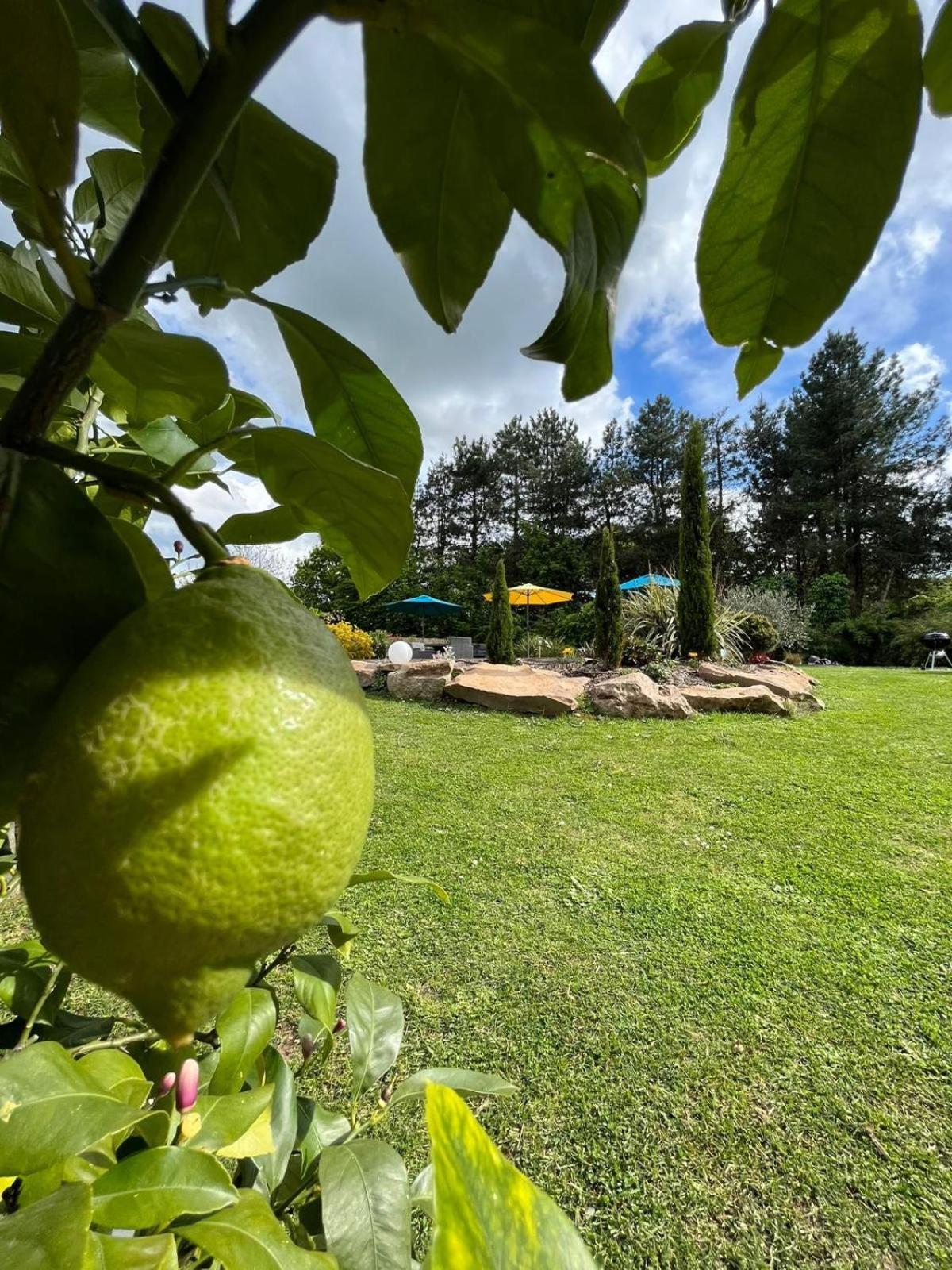 Chambre Dans Un Ecrin De Verdure Angrie Dış mekan fotoğraf