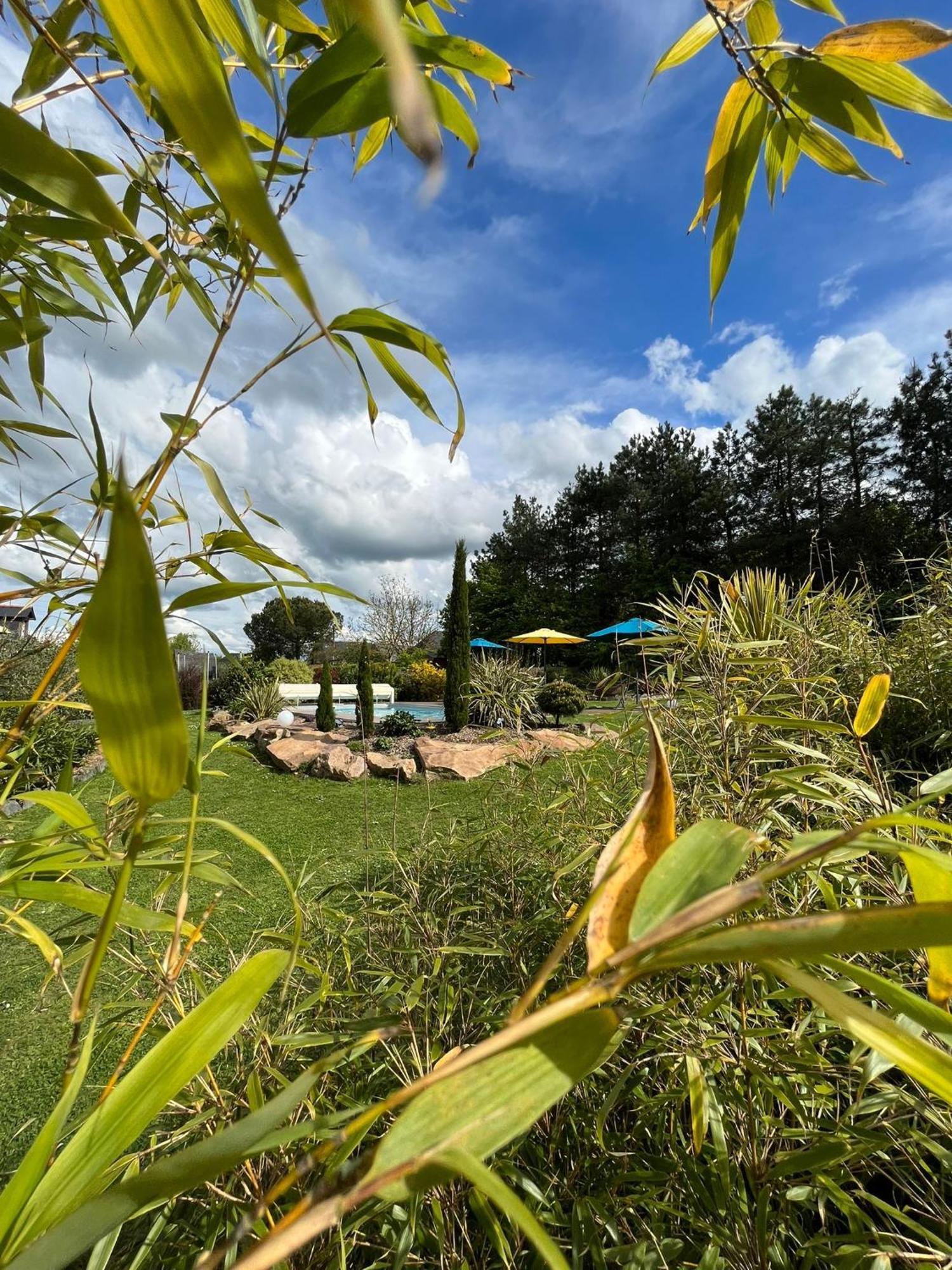 Chambre Dans Un Ecrin De Verdure Angrie Dış mekan fotoğraf